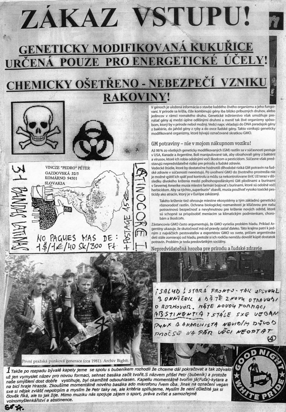 D.I.Y. PUNK FANZIN OHNEK .8